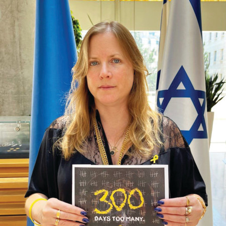 שגרירת ישראל באירלנד, דנה ארליך