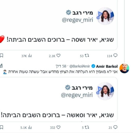 הציוצים של מירי רגב (צילום: רשתות חברתיות)