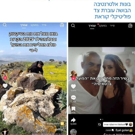 הפוסט של טאיסיה זומולוצקי (צילום: מתוך פייסבוק)
