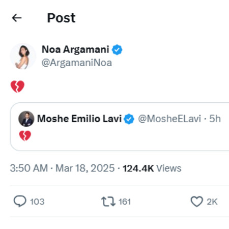 נועה ארגמני מגיבה לחזרה ללחימה בעזה (צילום: צילום מסך רשת X)