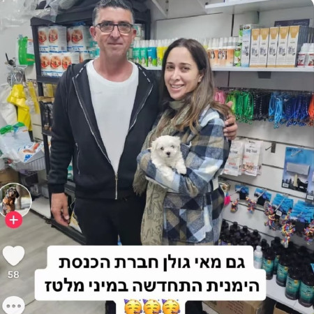 מאי גולן בחנות החיות (צילום: מתוך טיקטוק)