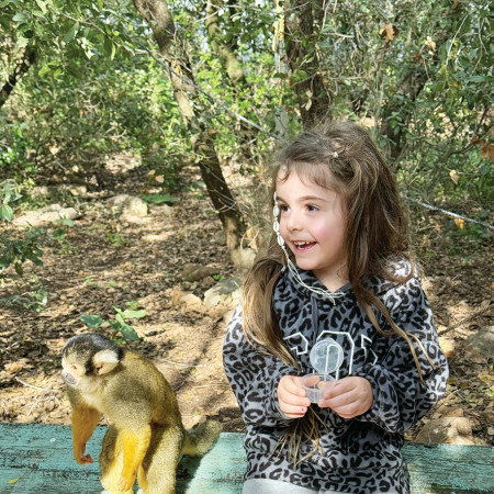 פארק הקופים יודפת (צילום: מיטל שרעבי)