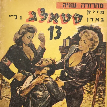 סטאלג, סדרת ספרים מיניים על השואה (צילום: רשתות חברתיות)