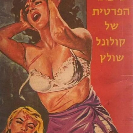 סטאלג, סדרת ספרים מיניים על השואה (צילום: רשתות חברתיות)