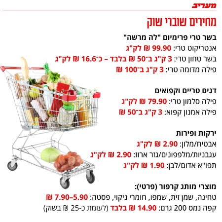 השוואת מחירים (צילום: מעריב אונליין)