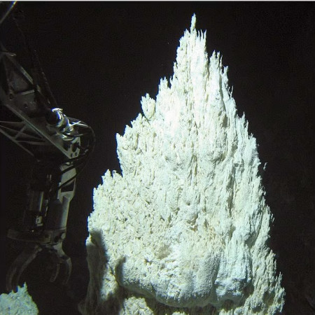 העיר התת ימית שהתגלתה (צילום: NSF,University of Washington,NOAA)