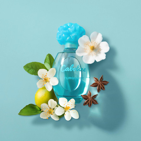 Cabotine Turquoise (צילום: יחצ)