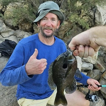 מת'יו רסטלי