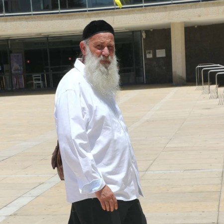 שולי רנד (צילום: פול סגל)