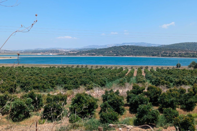 "Corso di formazione per agricoltori: un'opportunità per giovani e proprietari di terreni inutilizzati"
