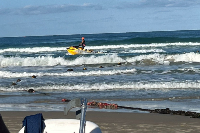 ידוע מראש? הסוף של הכריש שנראה בישראל הגיע