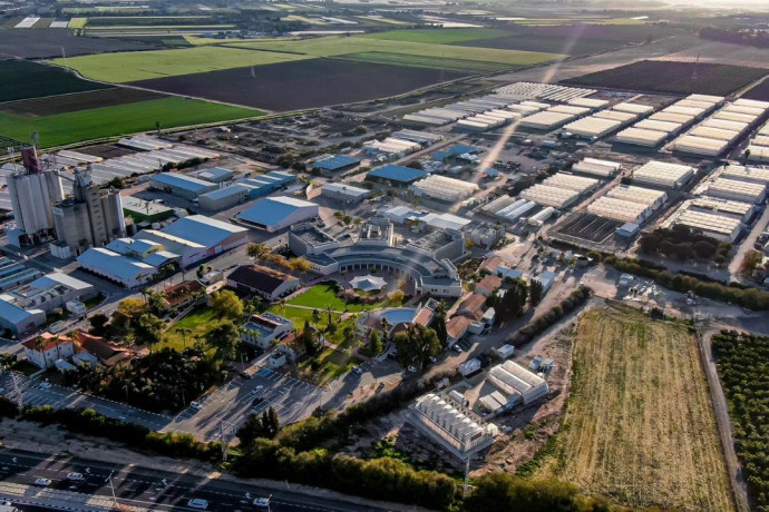 יותר הייטק, פחות חקלאות: החברה הישראלית שזורעת את העתיד 