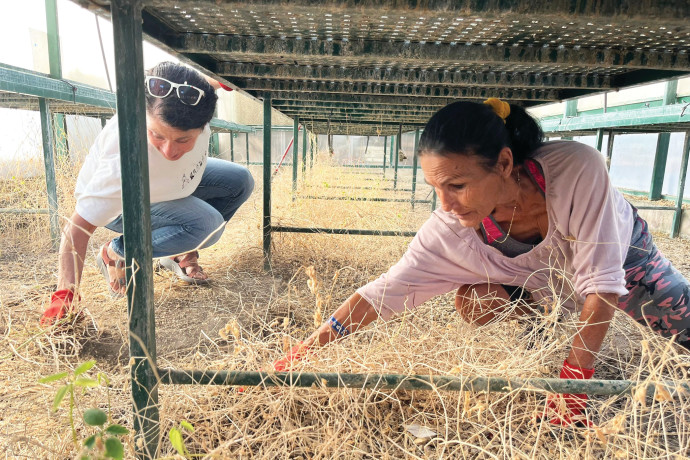 Quattro coraggiosi israeliani lasciano tutto per aiutare le comunità colpite dalla guerra