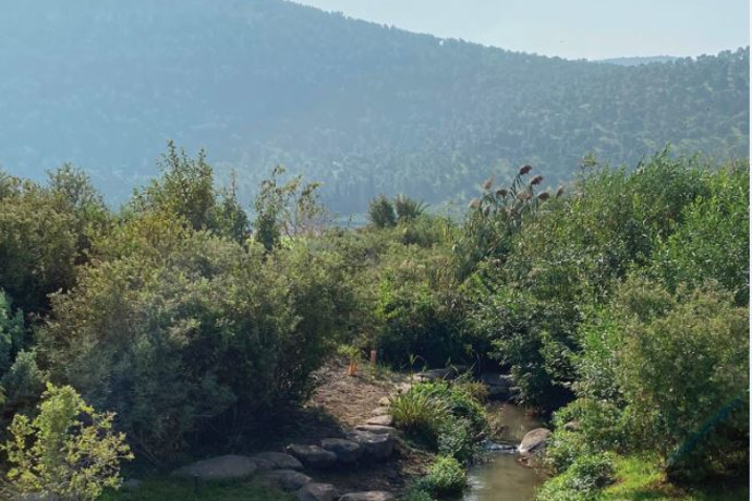 זמן גלבוע: ביקור בסביבות קיבוץ בית אלפא