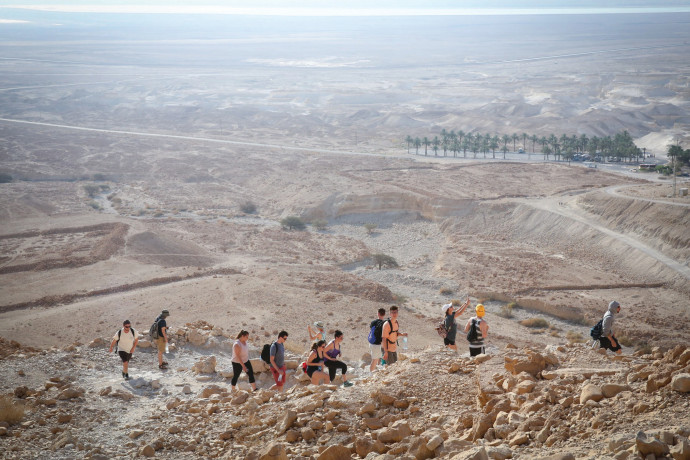 שמש לכולם: המיזם המהפכני של משרד האנרגיה יוצא לדרך