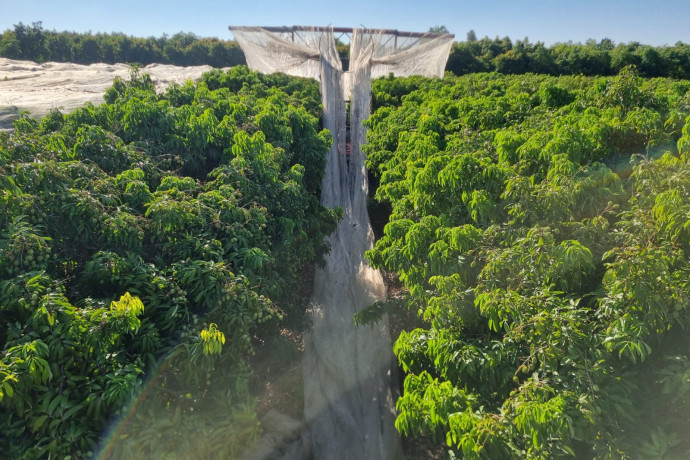 בן גביר יודע? הממשלה תתמוך בחקלאות הערבית בצפון בגלל הבצורת והמלחמה