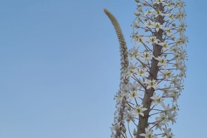 Temperature più elevate del solito in vista per venerdì: cosa aspettarsi e come prepararsi