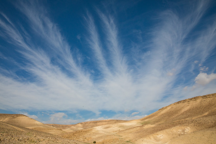 "צה"ל יבחן ויאשר: אירועי תרבות בגבול תחת אבטחת הצבא"