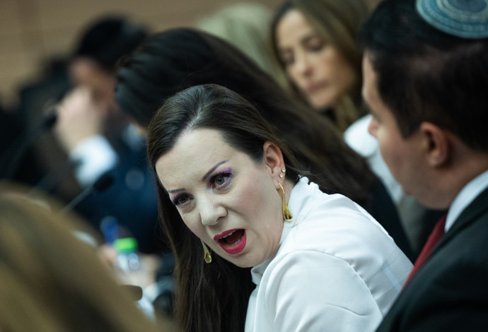 טלי גוטליב (צילום:  יונתן זינדל פלאש 90)