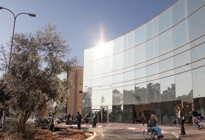 בית החולים שיבא תל השומר (צילום:  גדעון מרקוביץ, פלאש 90)