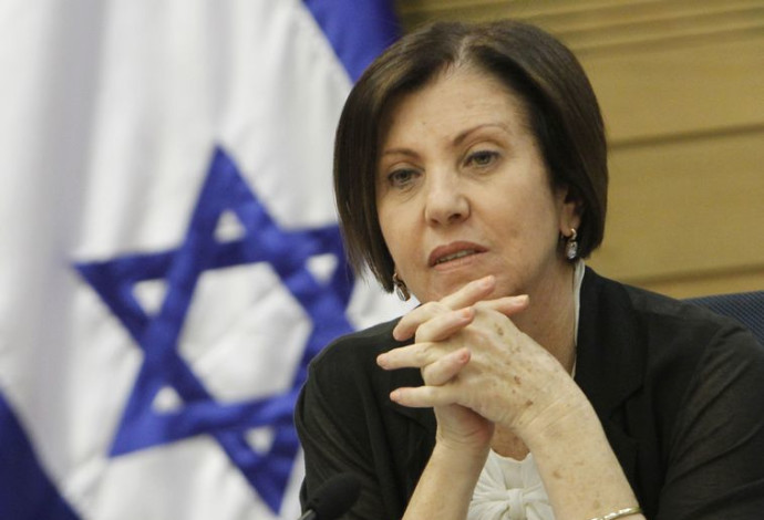 זהבה גלאון (צילום:  מרים אלסטר, פלאש 90)