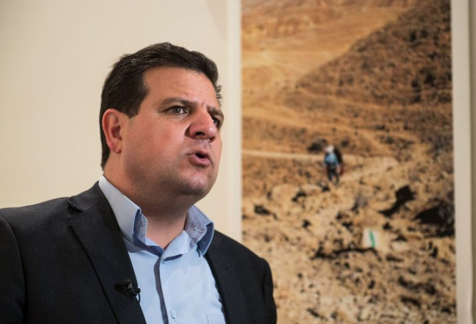 איימן עודה (צילום:  דניאל שטרית)