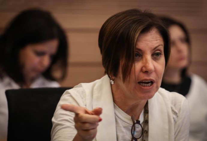 זהבה גלאון (צילום:  הדס פרוש , פלאש 90)