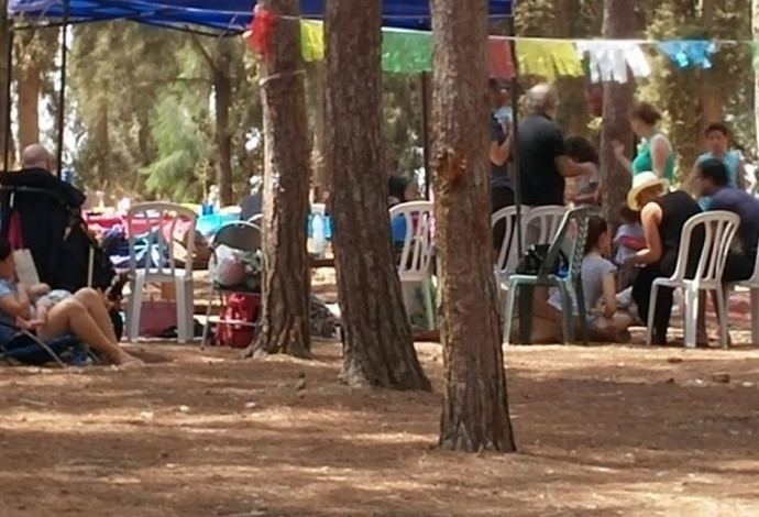 יער בן שמן  (צילום:  לאוניד ליברשטיין, קק"ל)