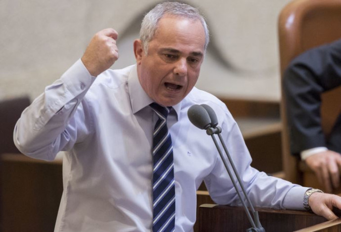 יובל שטייניץ בכנסת  (צילום:  יונתן סינדל, פלאש 90)
