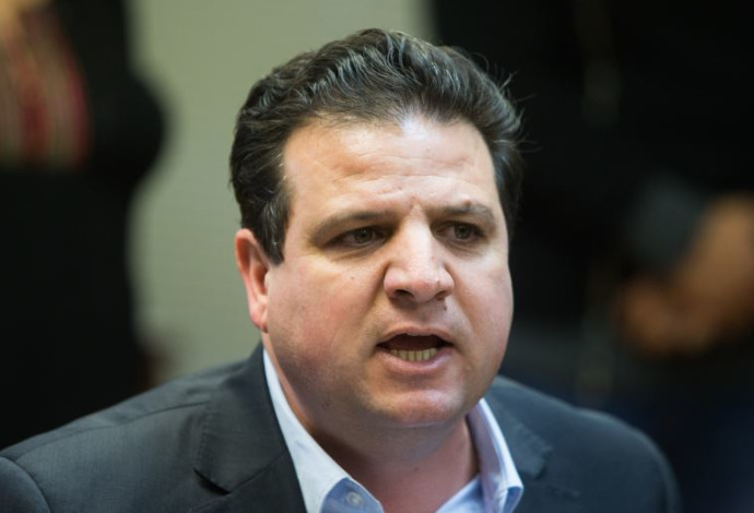 ח"כ איימן עודה  (צילום:  יונתן סינדל, פלאש 90)