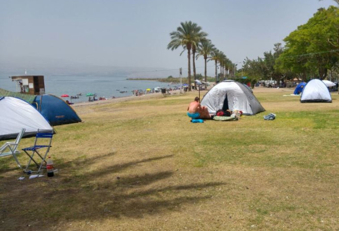 שרב בחופי הכינרת (צילום:  סיוון חודי רשות הכנרת)