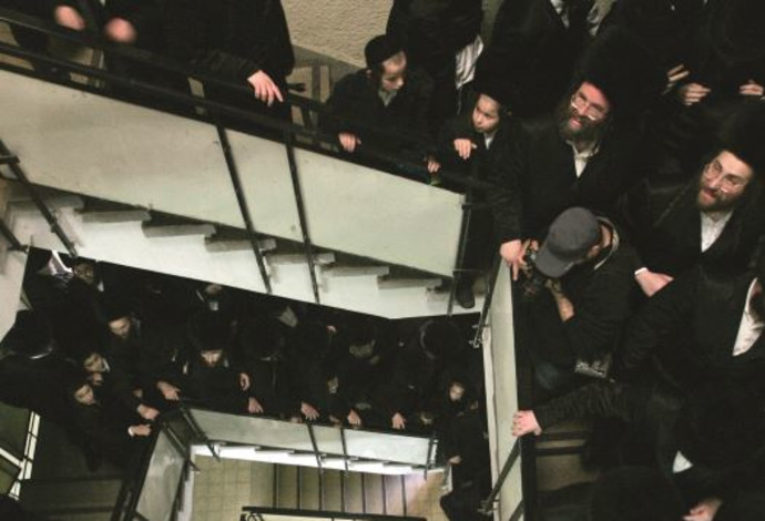 חסידות גור (צילום:  רויטרס)