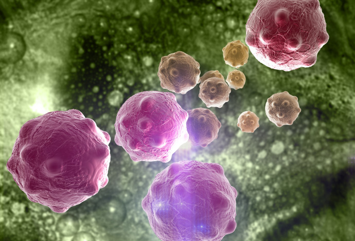 תאים סרטניים (צילום:  אינג אימג')