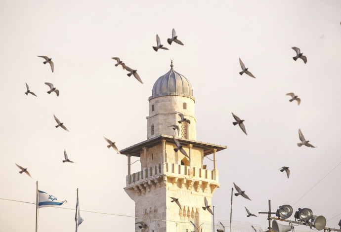 מסגד (צילום:  פלאש 90)
