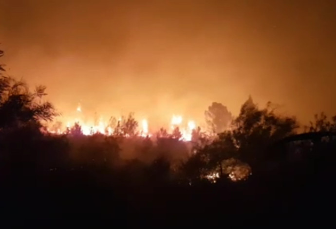 שריפה ליד נווה שלום (צילום:  צילום מסך)