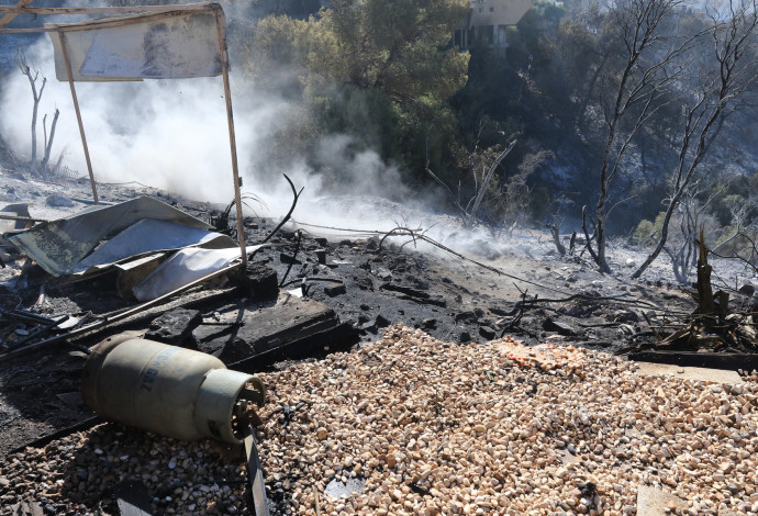 שריפה בחיפה (צילום:  ערן לוף)
