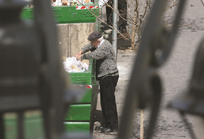 קשיש מחפש אוכל בפח אשפה בירושלים (צילום:  אנה קפלן, פלאש 90)