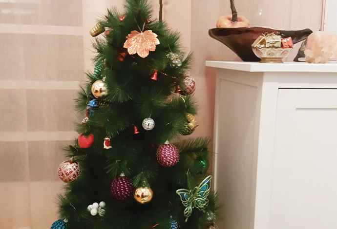 עץ חג המולד של שחר בן-פורת (צילום:  אלבום פרטי)