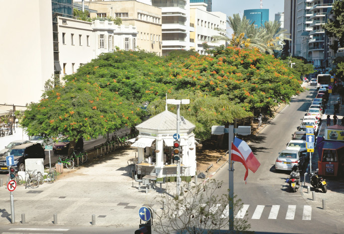 שדרות רוטשילד בתל אביב (צילום:  פלאש 90)
