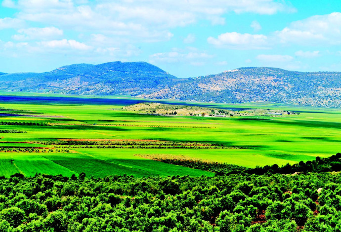 נוף ממצפור נטופה (צילום:  נתיבי ישראל)