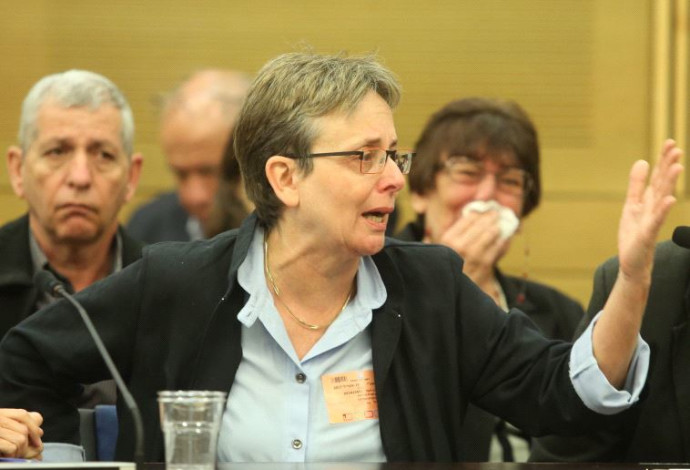 לאה גולדין בדיון בוועדה לביקורת המדינה  (צילום:  מרק ישראל סלם)