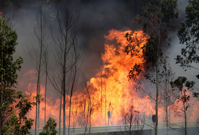 שריפה בפורטוגל  (צילום:  רויטרס)