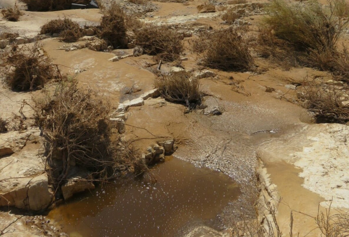 דליפת שפכים בנחל אשלים (צילום:  בעז פריפלד רשות הטבע והגנים)