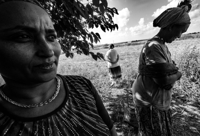תערוכת צילומים ייחודית של נשים מהקהילה האתיופית שעוסקות בחקלאות במיזם 'הגינה הקהילתית' (צילום:  דפנה יושע)