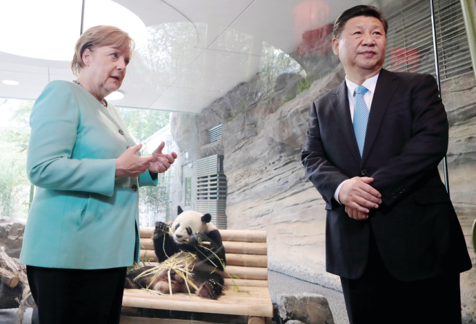 נשיא סין שי ג'ינפינג עם קנצלרית גרמניה אנגלה מרקל (צילום:  רויטרס)
