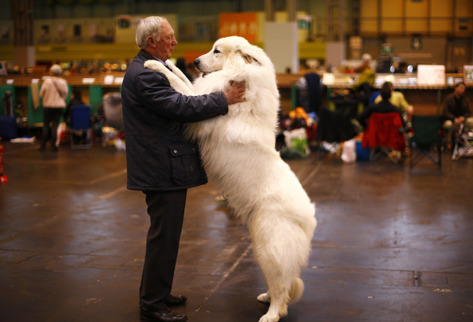 אדם רוקד עם כלב (צילום:  רויטרס)