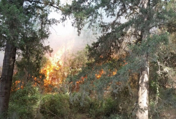 שריפה ברמות מנשה (צילום:  רמי דוידי, יערן קק"ל)
