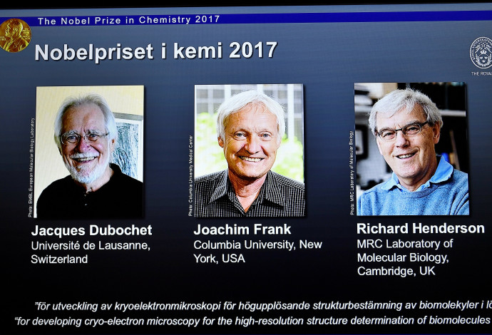 זוכי פרס נובל לכימיה (צילום:  רויטרס)
