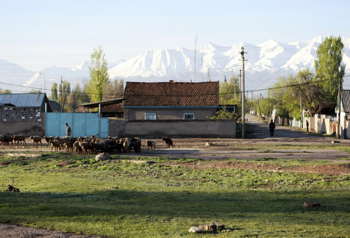 קירגיזסטן (צילום:  רויטרס)
