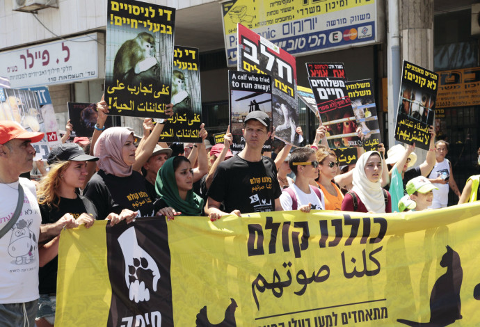 צעדת "כולנו קולם" בחיפה למען בעלי חיים (צילום:  יואב בן דוב)